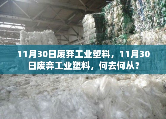 11月30日废弃工业塑料的处置与未来何去何从?