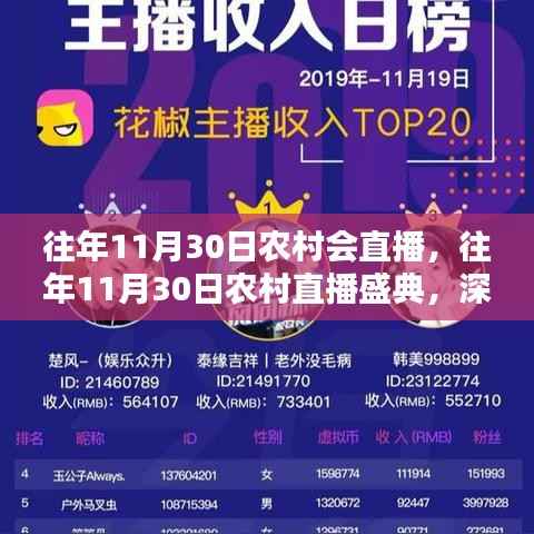 往年11月30日农村直播盛典,深度体验与全方位评测盛况回顾
