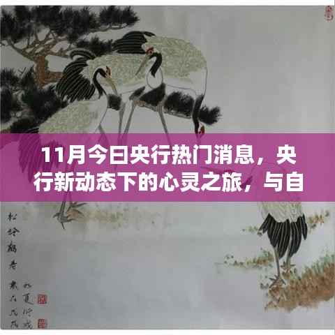 央行新动态下的心灵之旅,与自然美景的紧密连结