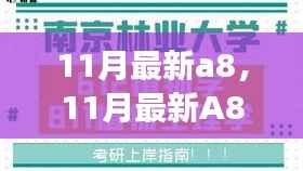 11月最新A8,日常趣事与友情的温馨时光