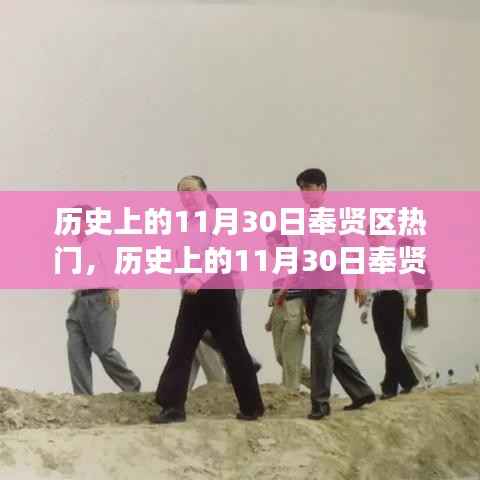 历史上的11月30日奉贤区回顾,大事记揭秘热门日