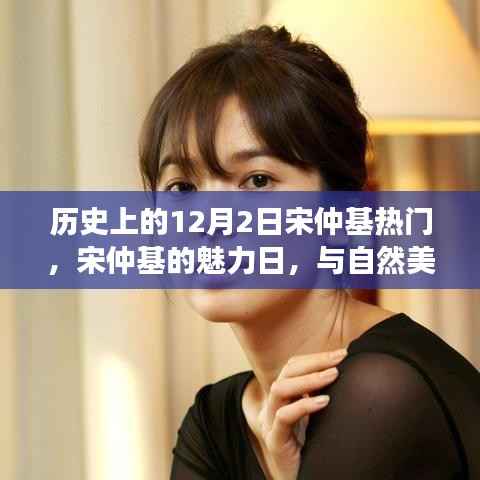 历史上的12月2日宋仲基热门,宋仲基的魅力日,与自然美景的邂逅,寻找内心的宁静之旅