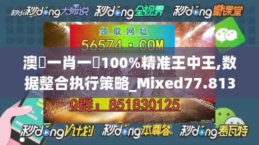 澳門一肖一碼100%精准王中王,数据整合执行策略_Mixed77.813-8