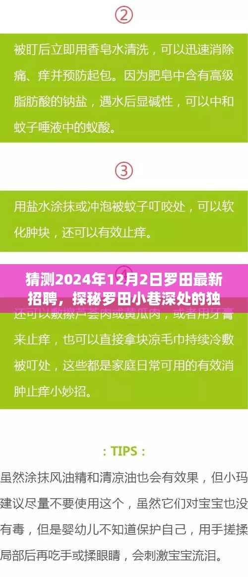 探秘罗田小巷深处的独特小店,揭秘最新招聘动态与未来展望(罗田招聘预测)