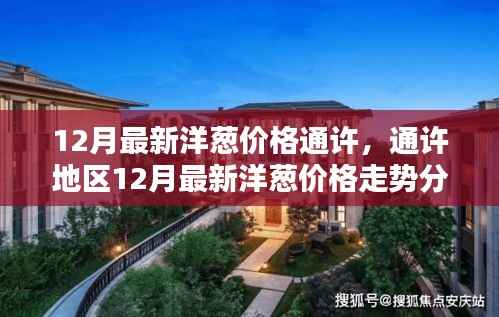 通许地区12月最新洋葱价格分析与走势预测