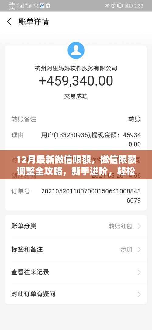 应对十二月微信限额新规,调整攻略与进阶指南