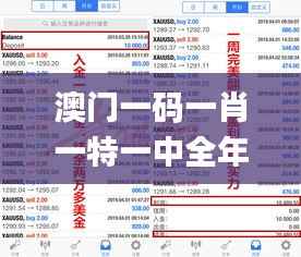 澳门一码一肖一特一中全年,快速设计问题解析_黄金版125.336