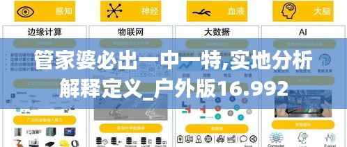 管家婆必出一中一特,实地分析解释定义_户外版16.992