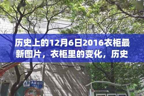 衣柜变迁史,历史、创新与学习成就自信与成就感——最新衣柜图片展示,2016年12月6日回顾