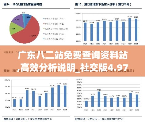 广东八二站免费查询资料站,高效分析说明_社交版4.973