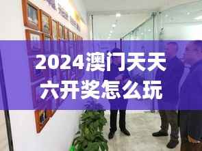 2024澳门天天六开奖怎么玩,重要性说明方法_桌面款4.223