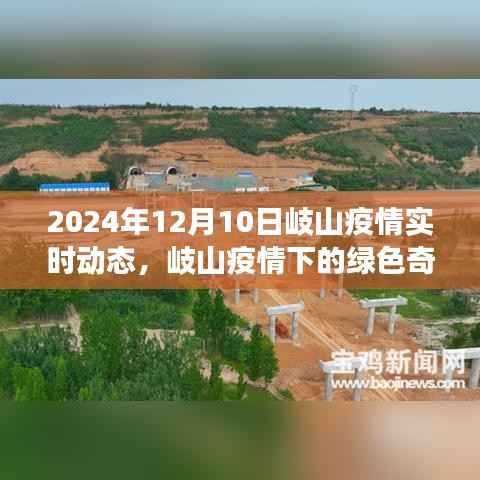 岐山疫情下的绿色奇迹,自然美景治愈之旅的实时动态