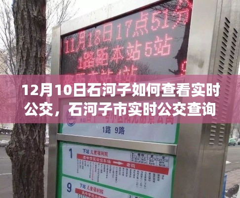 初学者也能轻松掌握,石河子市实时公交查询指南(附查询步骤)