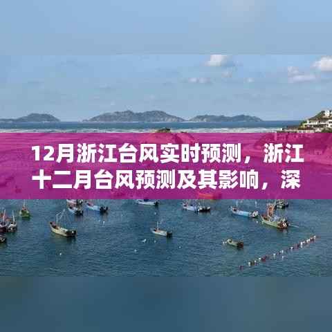 浙江十二月台风预测及影响,深入分析与观点阐述