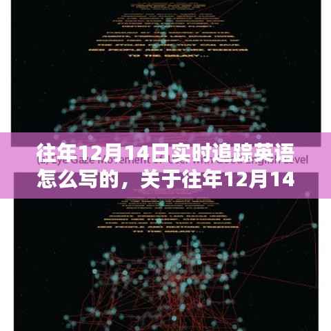 往年12月14日实时追踪英语探讨与解析指南