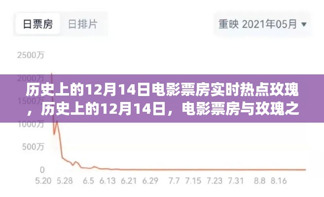 历史上的12月14日,电影票房与玫瑰的奇妙之夜