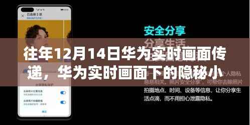 华为实时画面下的独特小店魅力,隐秘小巷中的惊喜展现