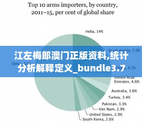 江左梅郎澳门正版资料,统计分析解释定义_bundle3.726