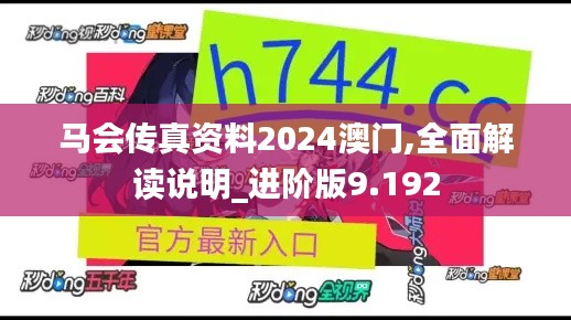 马会传真资料2024澳门,全面解读说明_进阶版9.192