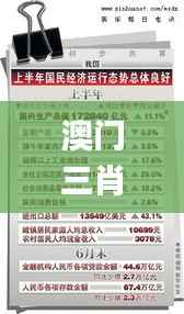 澳门三肖三码精准100%黄大仙,整体讲解执行_WP版7.288