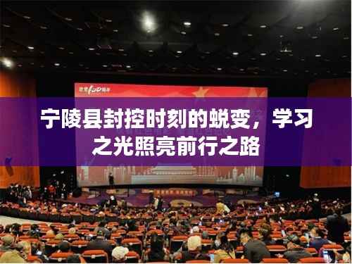 宁陵县封控时期的蜕变,学习之光引领前行之路