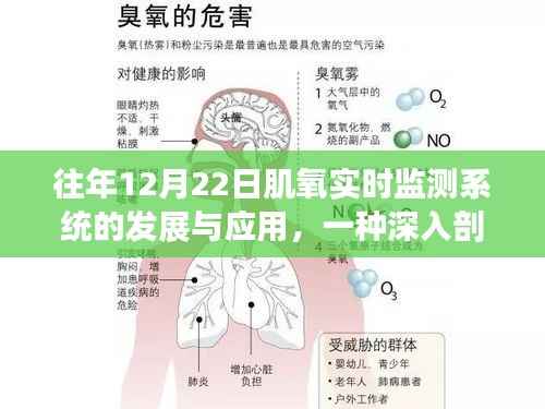 肌氧实时监测系统的发展与应用,深度剖析及历年进展