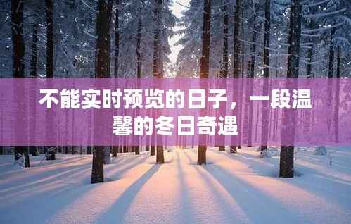 不能实时预览的日子,冬日温馨奇遇