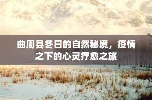 曲周县冬日自然秘境,疫情下的心灵疗愈之旅
