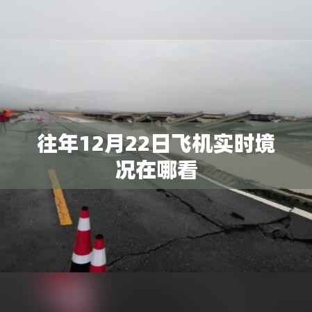 飞机实时动态查询,往年12月22日航班状况查看指南