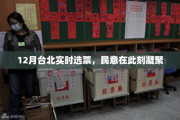 台北12月实时选票结果,民意决定未来