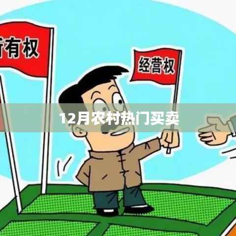 农村12月热门买卖选择