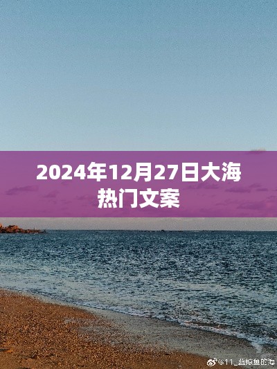2024年12月27日,大海浪漫文案精选