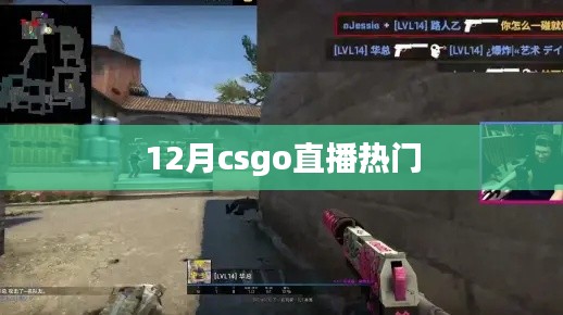 12月CSGO直播热潮涌动