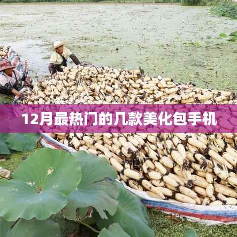 12月热门手机美化包大揭秘