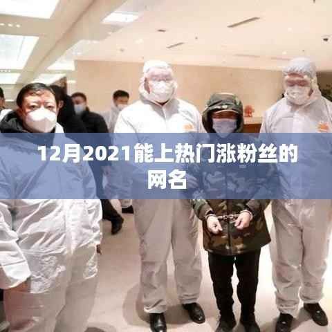 热门涨粉网名精选,2021年12月上榜