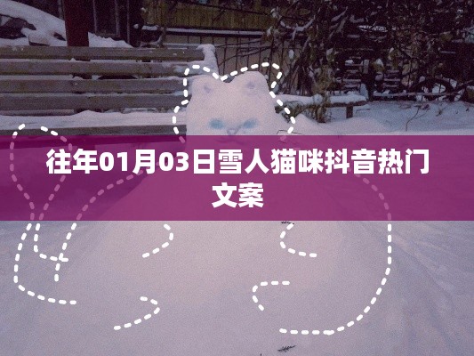 抖音热门雪人猫咪文案精选