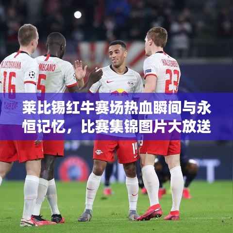 莱比锡红牛赛场热血瞬间与永恒记忆,比赛集锦图片大放送