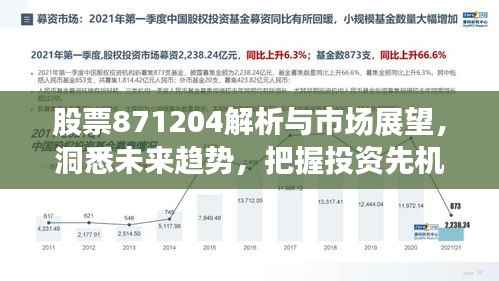 股票871204解析与市场展望,洞悉未来趋势,把握投资先机