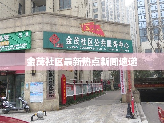 金茂社区最新热点新闻速递