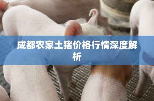 成都农家土猪价格行情深度解析