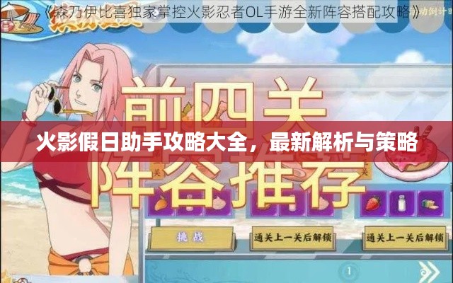 火影假日助手攻略大全,最新解析与策略