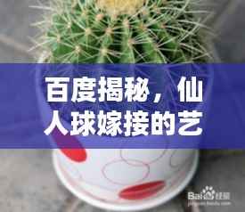 就正有道 第3页