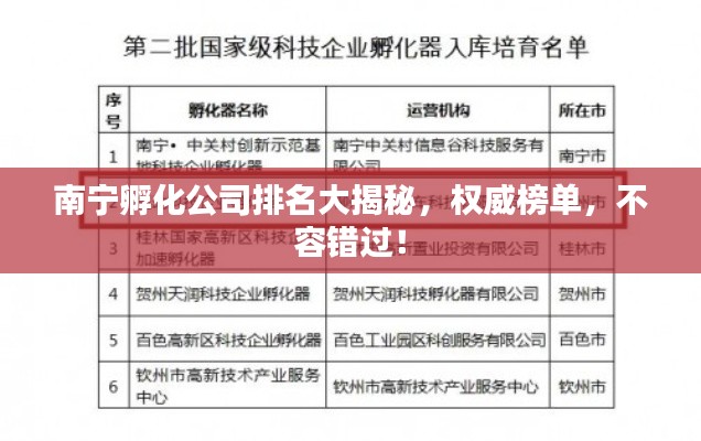 南宁孵化公司排名大揭秘,权威榜单,不容错过!