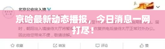 见缝就钻 第3页