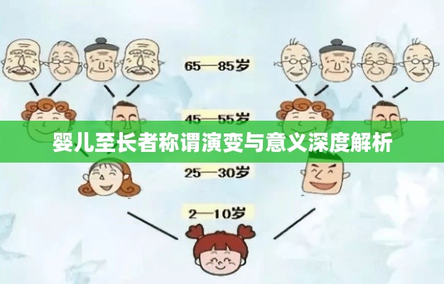 婴儿至长者称谓演变与意义深度解析