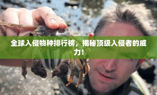 全球入侵物种排行榜,揭秘顶级入侵者的威力!