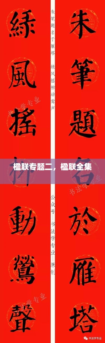 夫妻本是同林鸟 第3页