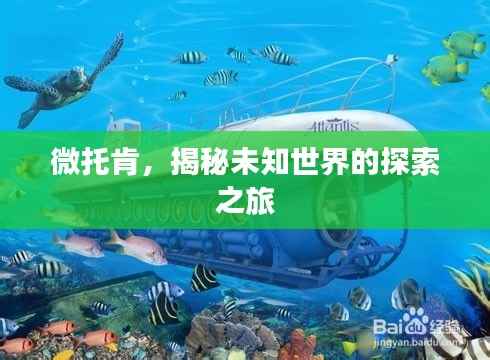 微托肯,揭秘未知世界的探索之旅