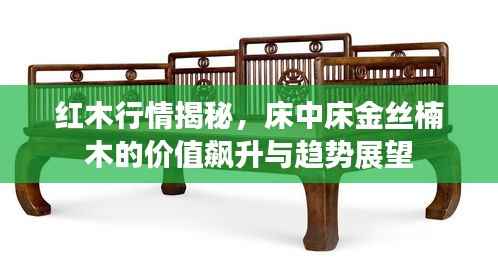 红木行情揭秘,床中床金丝楠木的价值飙升与趋势展望