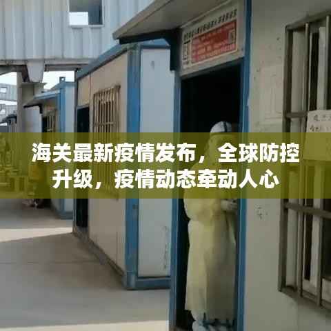海关最新疫情发布,全球防控升级,疫情动态牵动人心